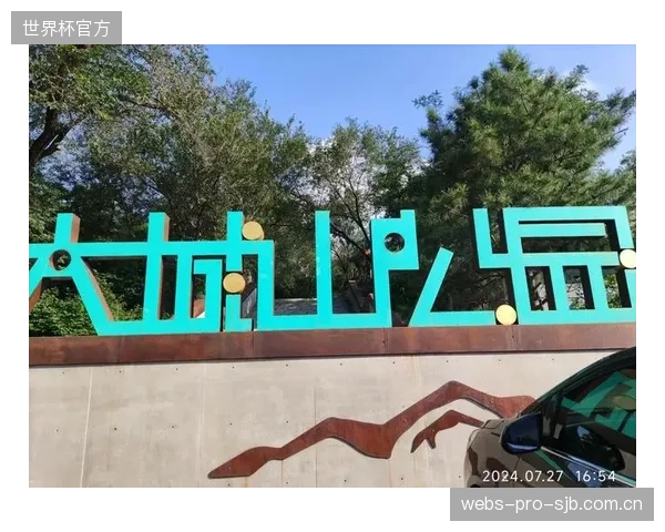 部分三四线城市借“奥运概念”盲目上马大型滑板、攀岩公园,最终沦为无人问津的“体育地产”,造成巨大的资源浪费 部分三四线城市借“奥运概念”盲目上马大型滑板、攀岩公园,最终沦为无人问津的“体育地产”,造成巨大的资源浪费